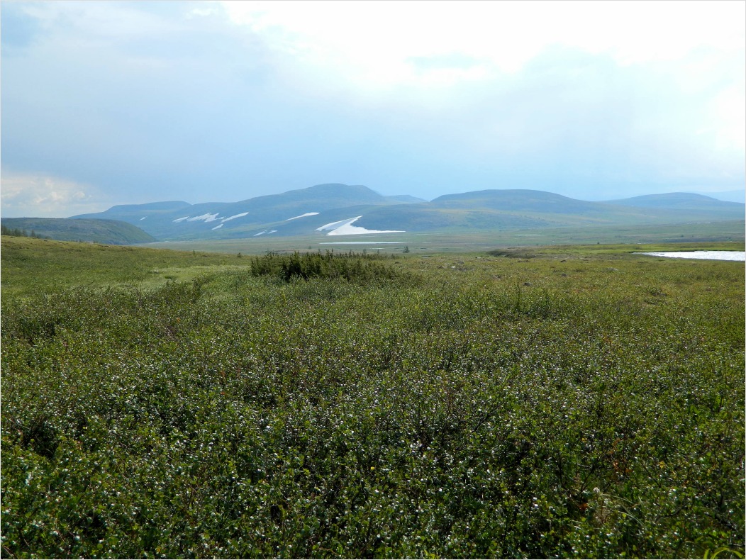 Большая Лагорта, изображение ландшафта.