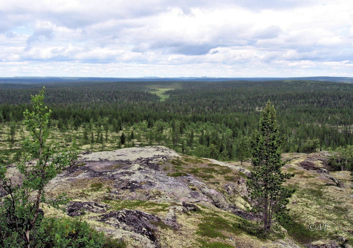 Гора Немецкая, image of landscape/habitat.