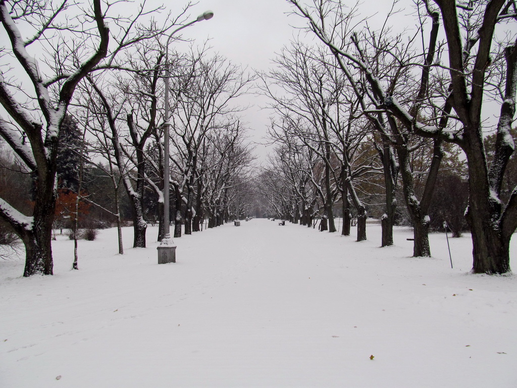 Минск, Ботанический сад, image of landscape/habitat.