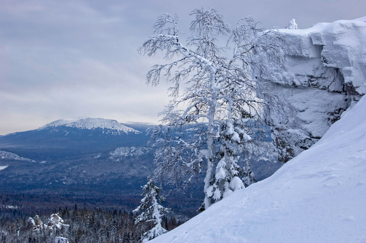 Окрестности горы Поперечная, image of landscape/habitat.