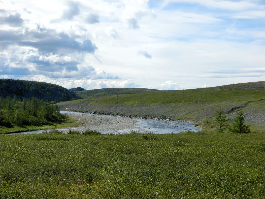 Большая Лагорта, image of landscape/habitat.