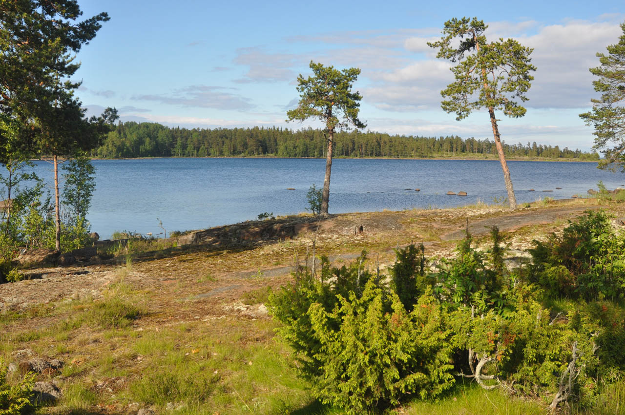 Валаам, image of landscape/habitat.