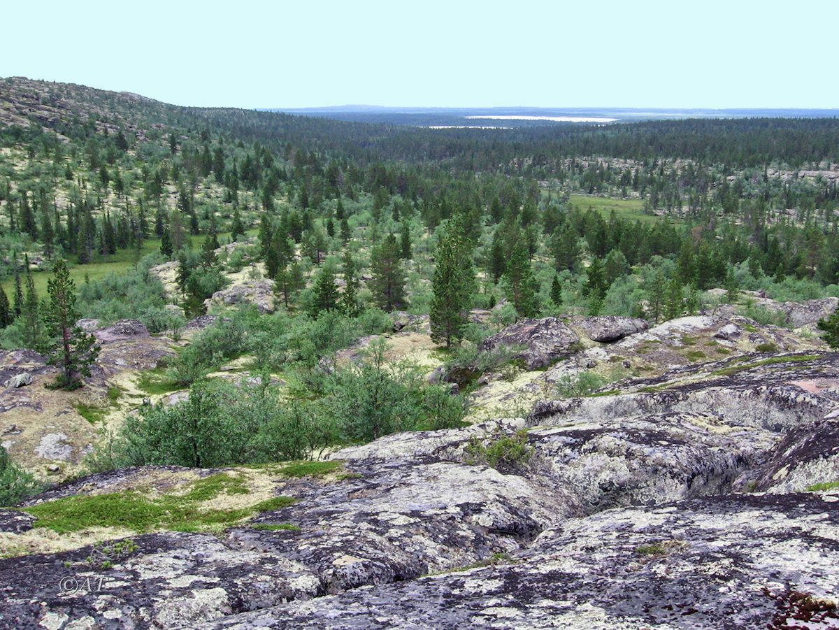 Гора Немецкая, image of landscape/habitat.