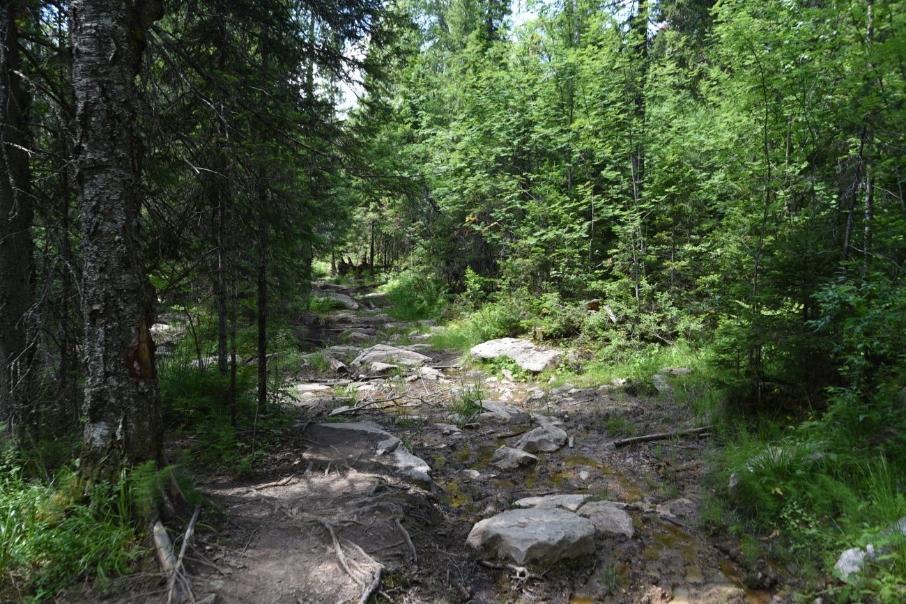 Приют «Гремучий ключ», image of landscape/habitat.