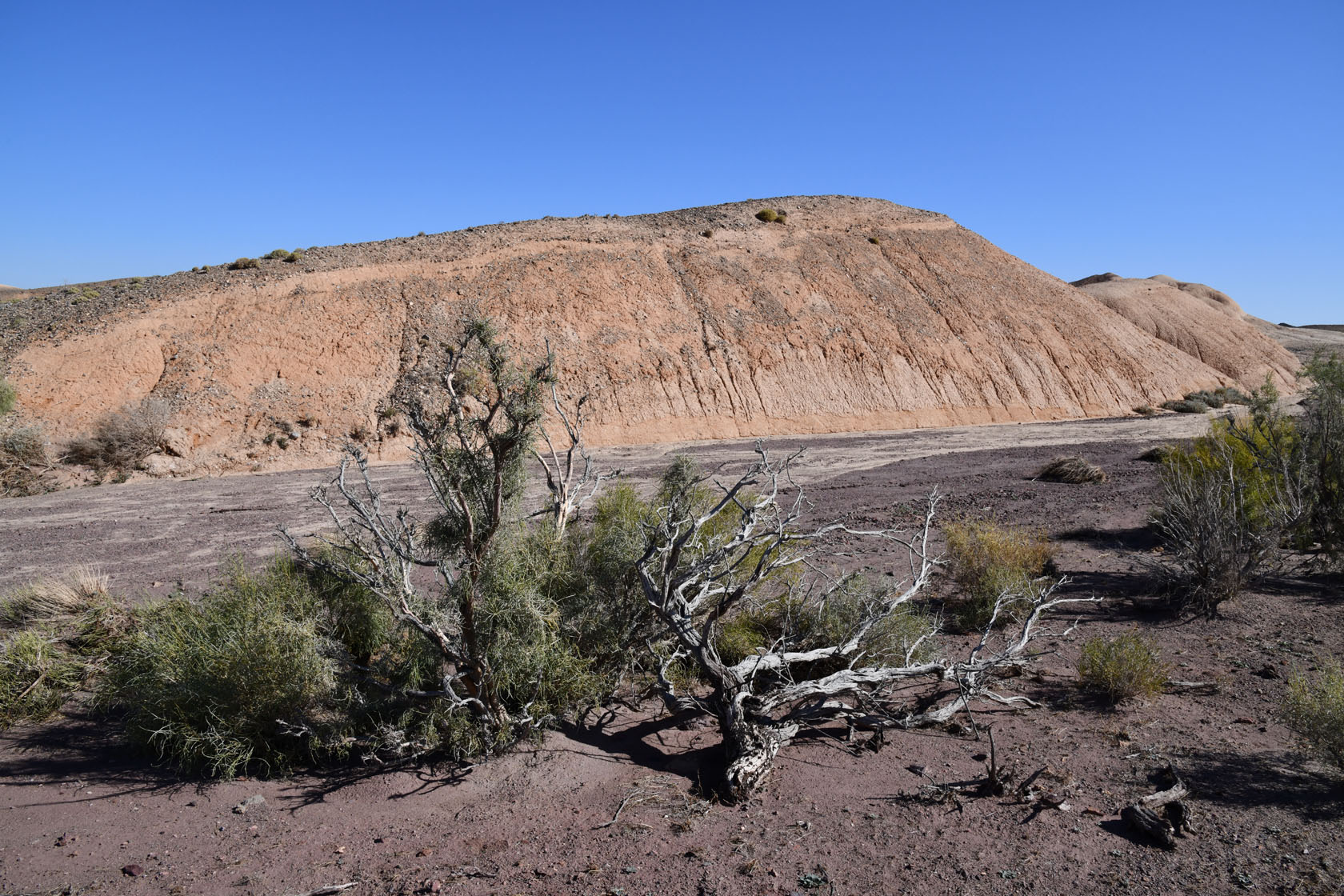 Горы Улькен-Богуты, image of landscape/habitat.