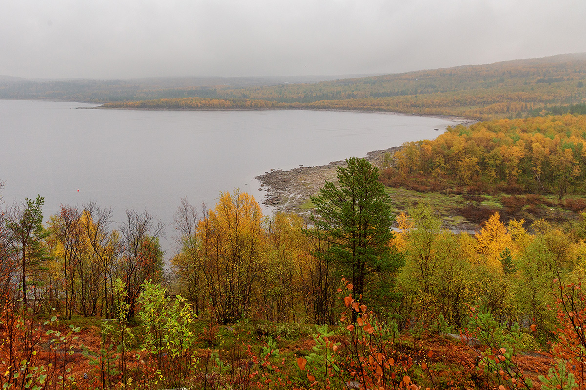 Мурманск, image of landscape/habitat.