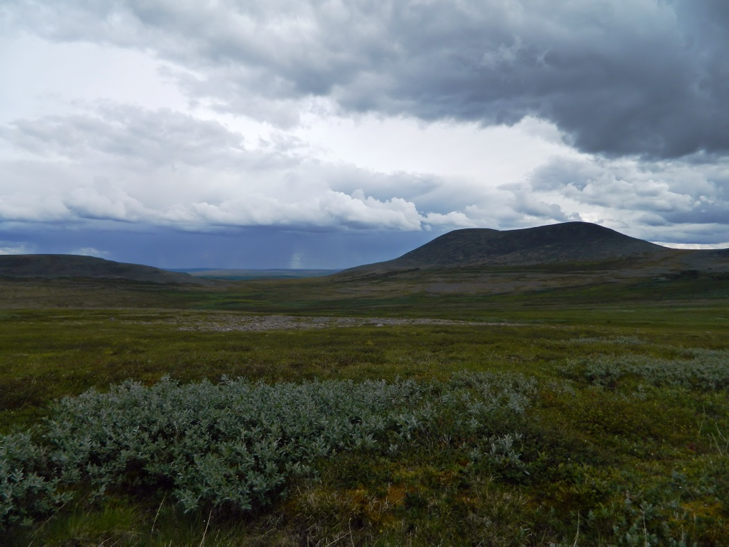 Пызанъиз, image of landscape/habitat.