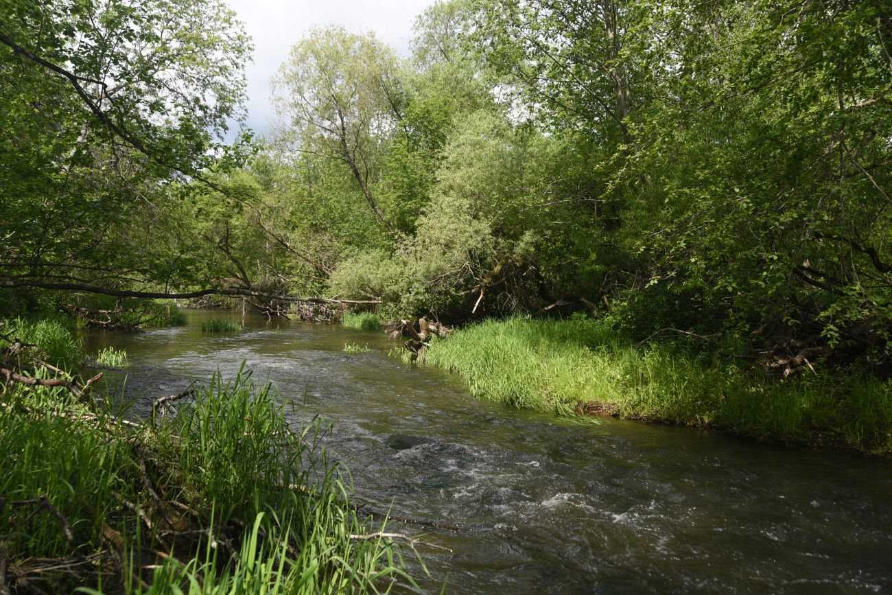 Окрестности деревни Семичёво, image of landscape/habitat.