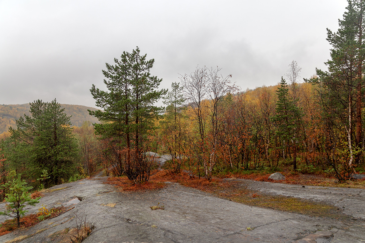 Мурманск, image of landscape/habitat.