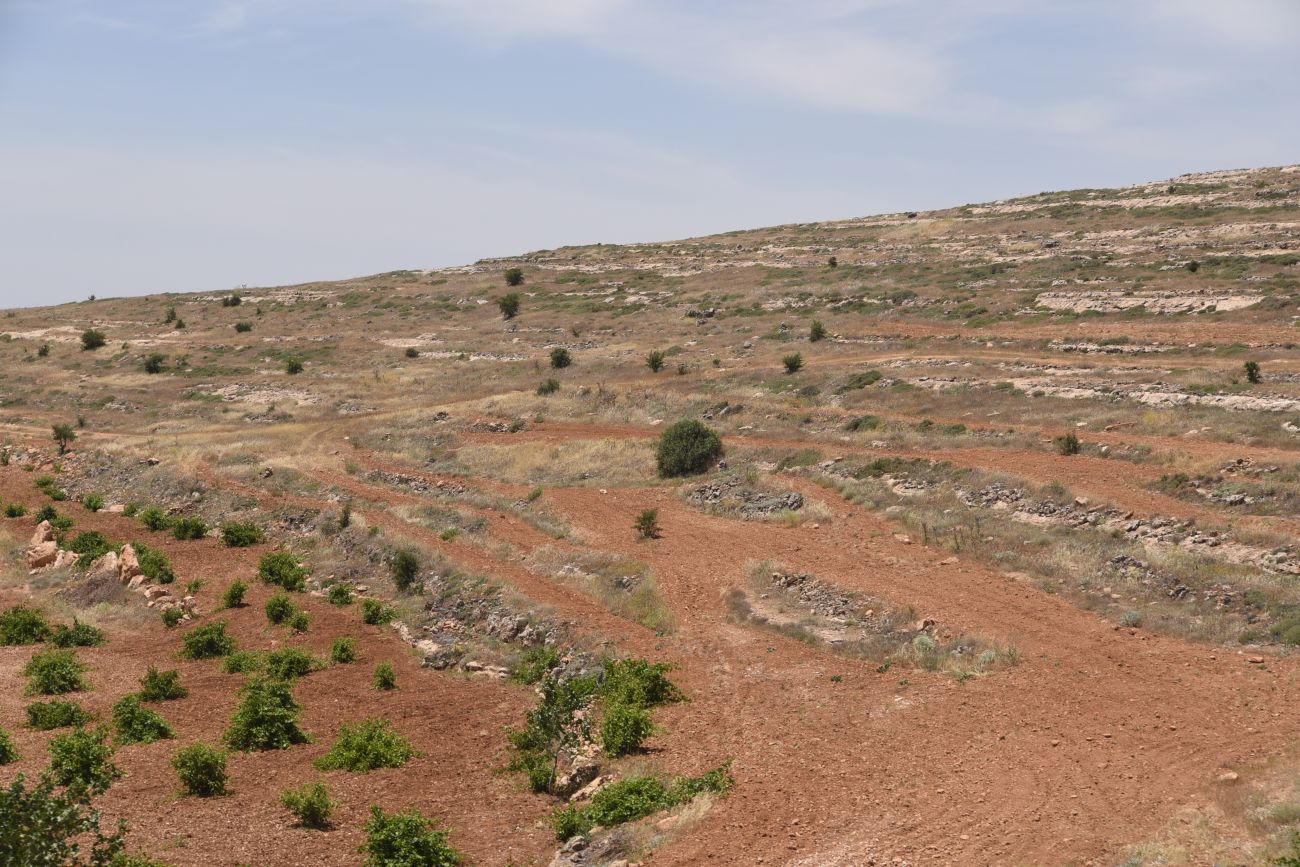 Анытлы (Хах), изображение ландшафта.