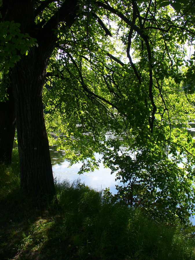 Петропавловский парк, изображение ландшафта.