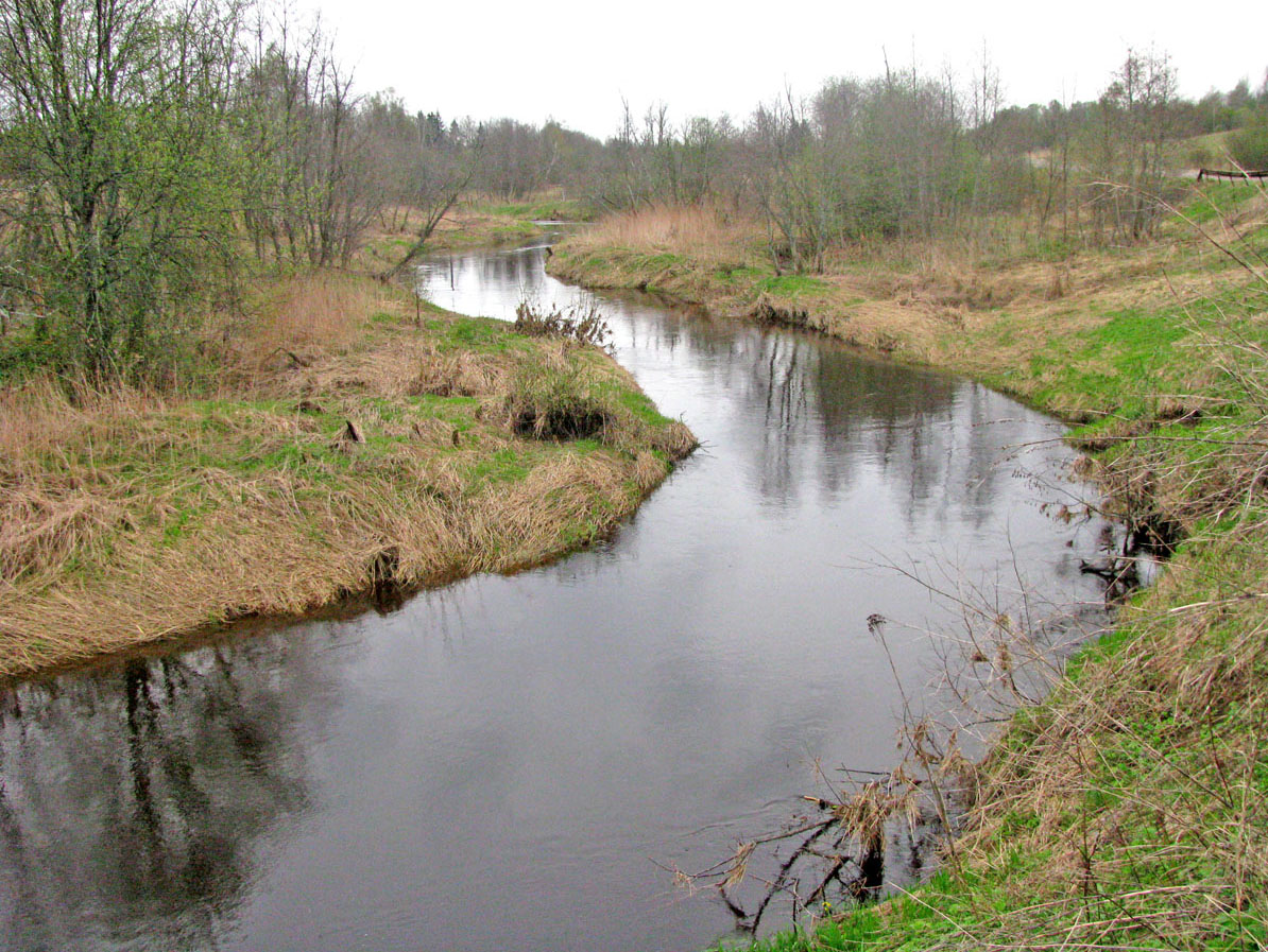 Ильд в среднем течении, image of landscape/habitat.