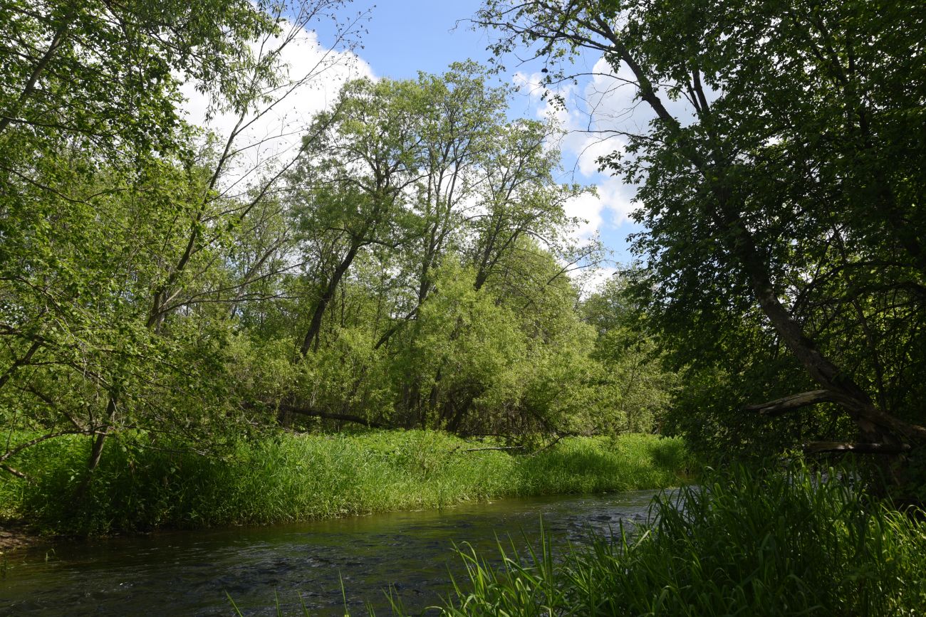 Окрестности деревни Семичёво, image of landscape/habitat.