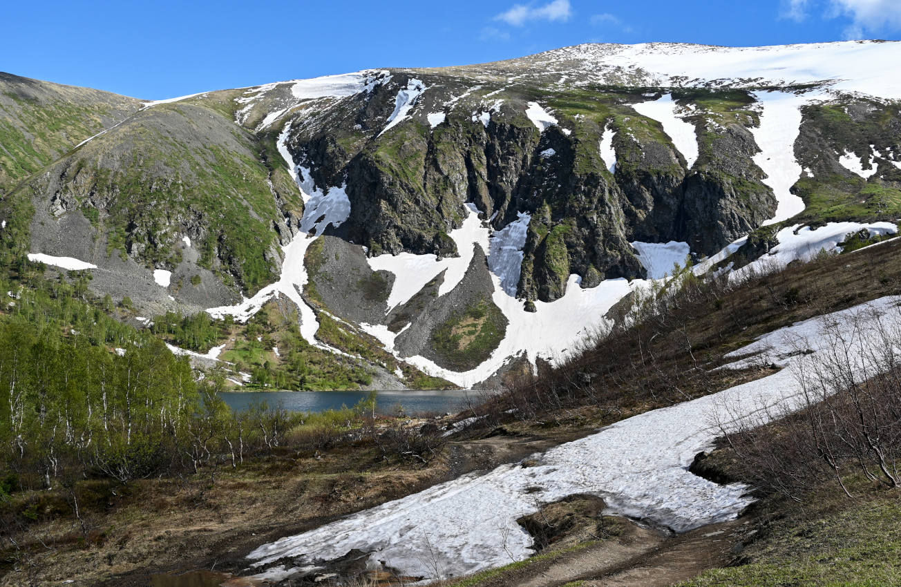 Озеро Ивановское, image of landscape/habitat.