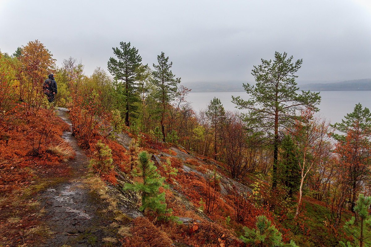 Мурманск, image of landscape/habitat.