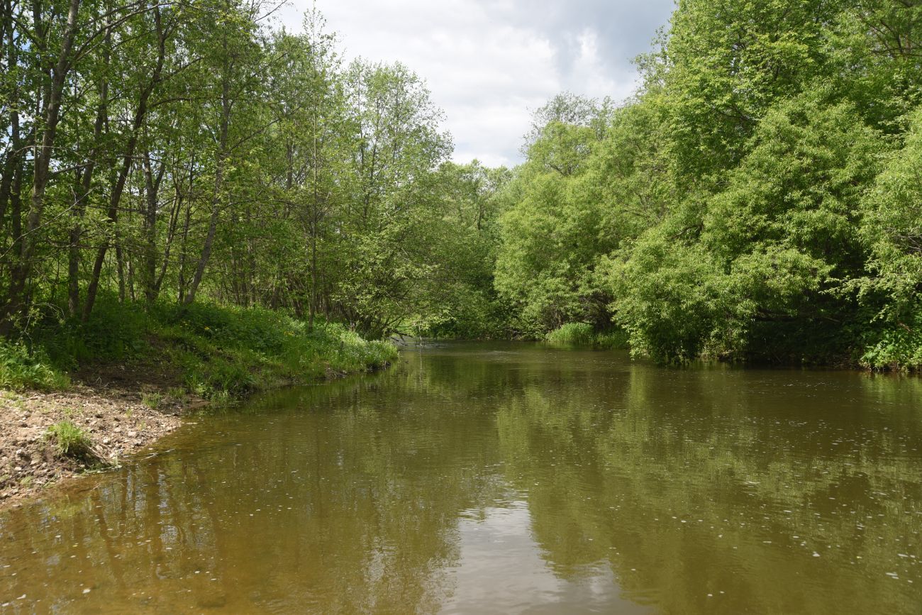 Окрестности деревни Семичёво, image of landscape/habitat.