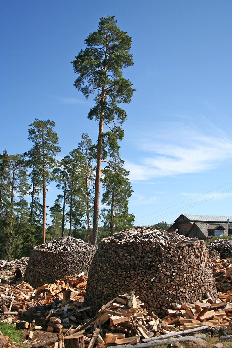 Валаам, image of landscape/habitat.