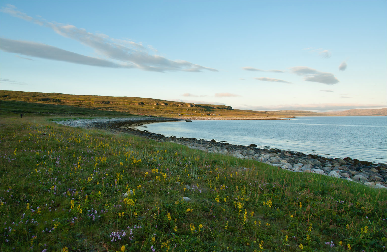 Малая Волоковая губа, image of landscape/habitat.