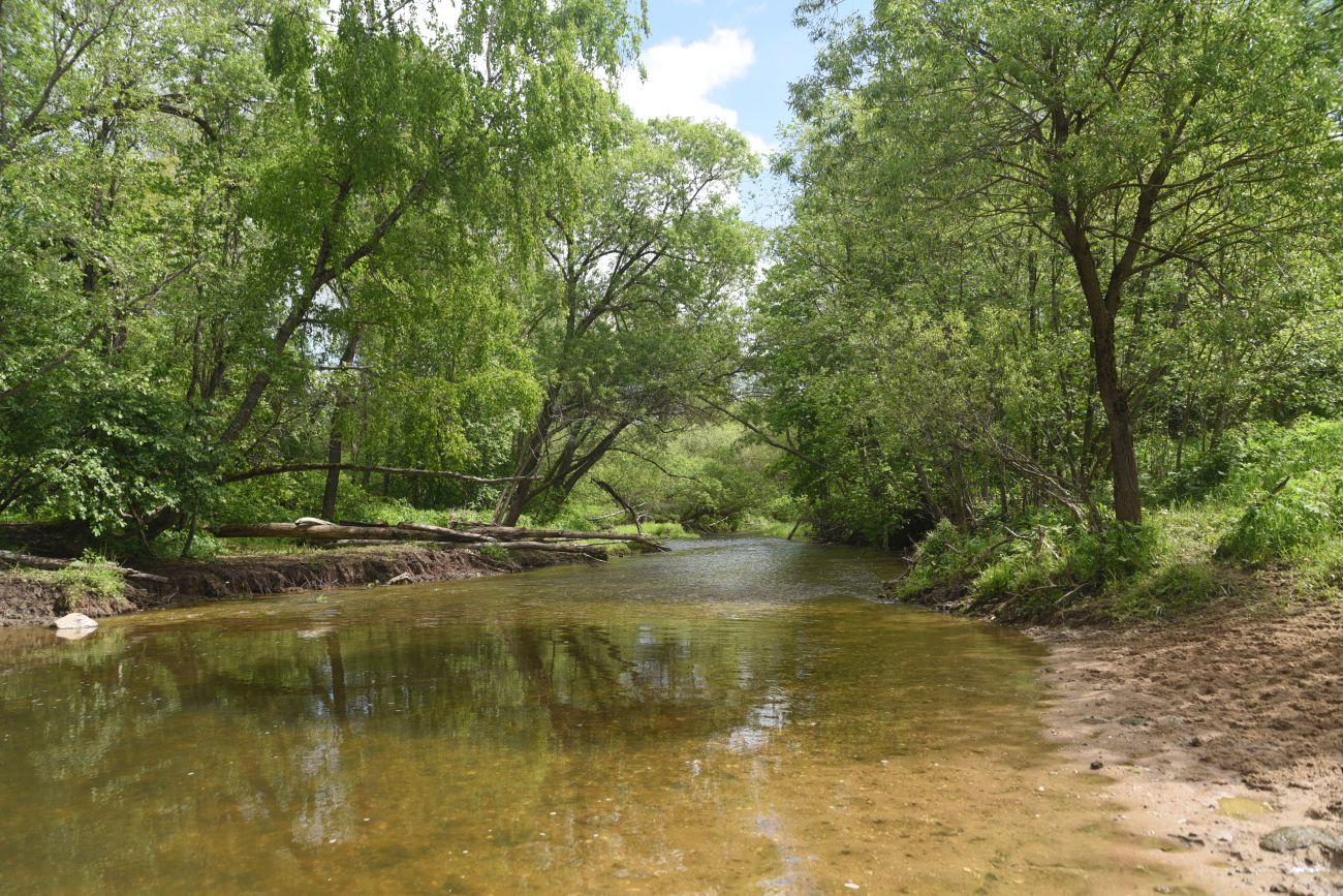 Окрестности деревни Семичёво, image of landscape/habitat.