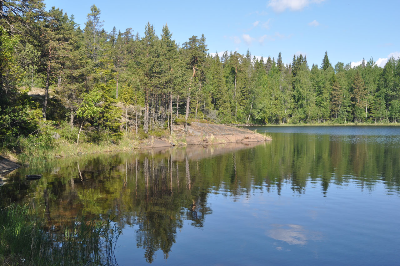 Валаам, image of landscape/habitat.