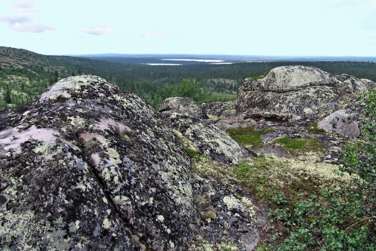 Гора Немецкая, изображение ландшафта.