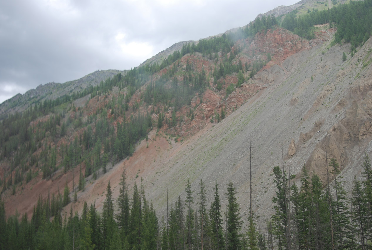 Красные Ворота, image of landscape/habitat.