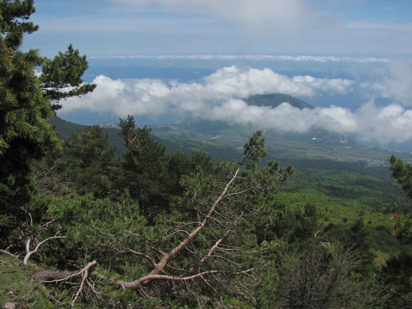 Гурзуфское Седло, image of landscape/habitat.