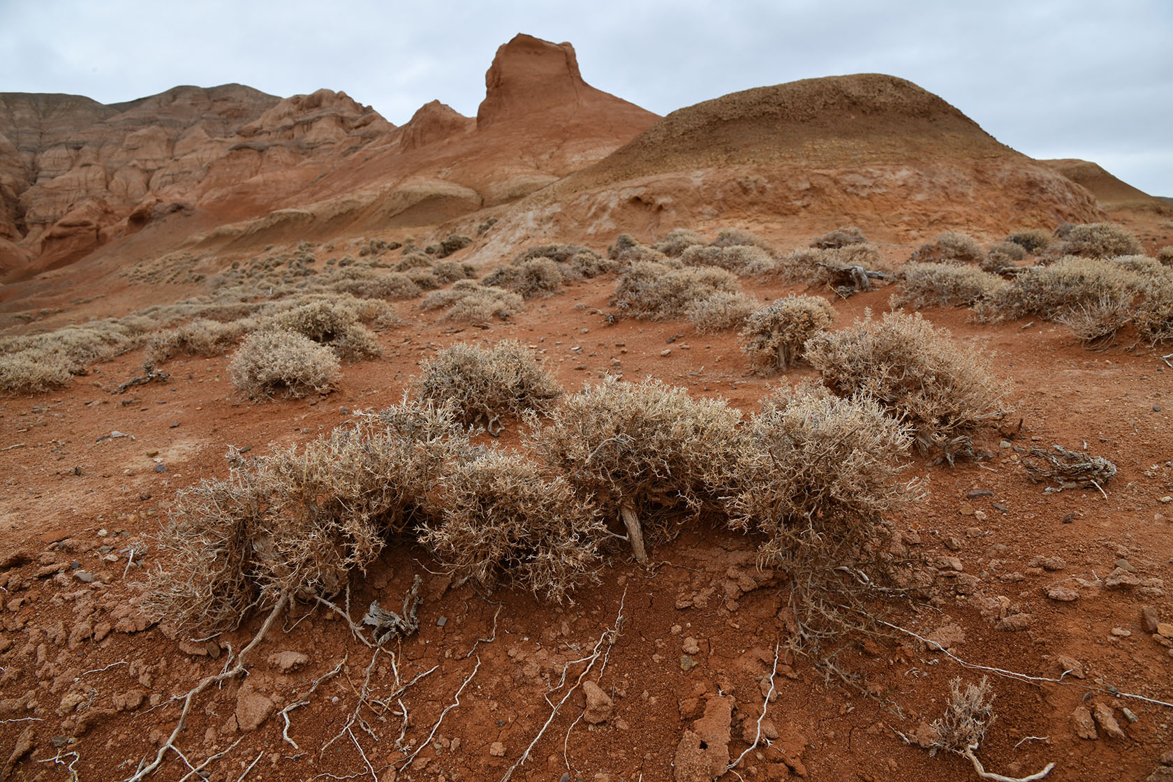 Горы Улькен-Богуты, image of landscape/habitat.