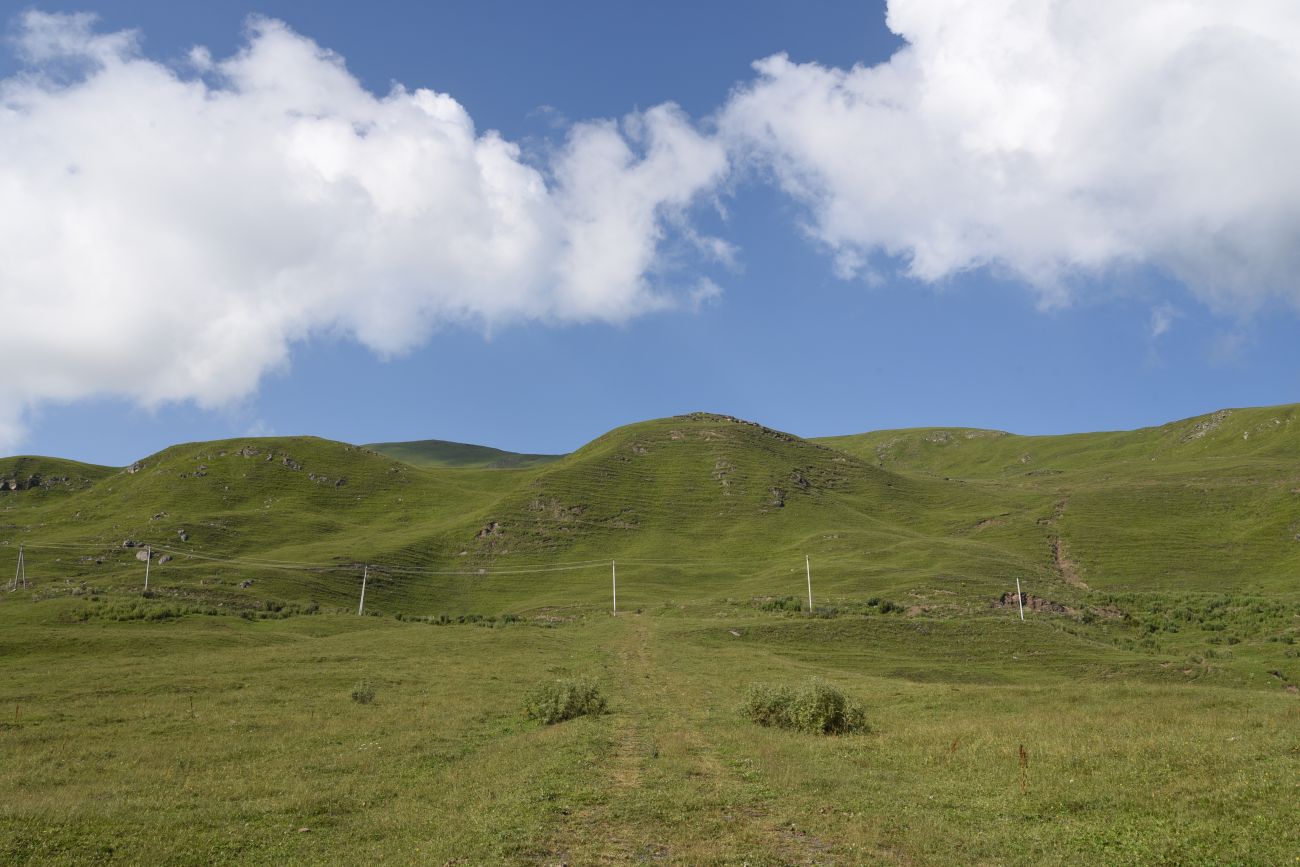 Окрестности урочища Цамадой, image of landscape/habitat.