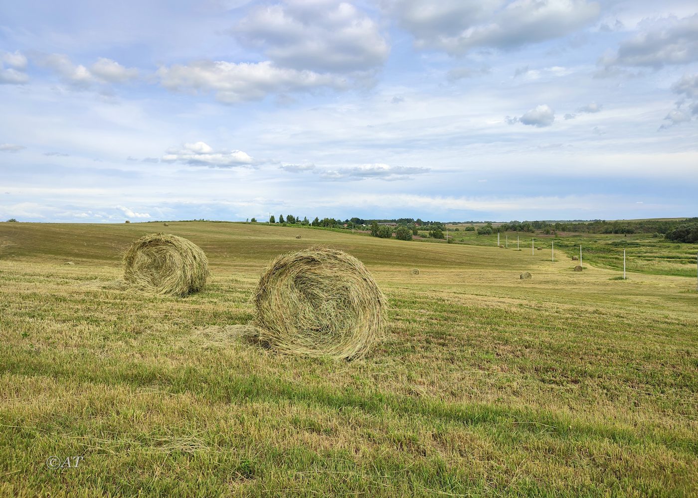 Смоленск, image of landscape/habitat.