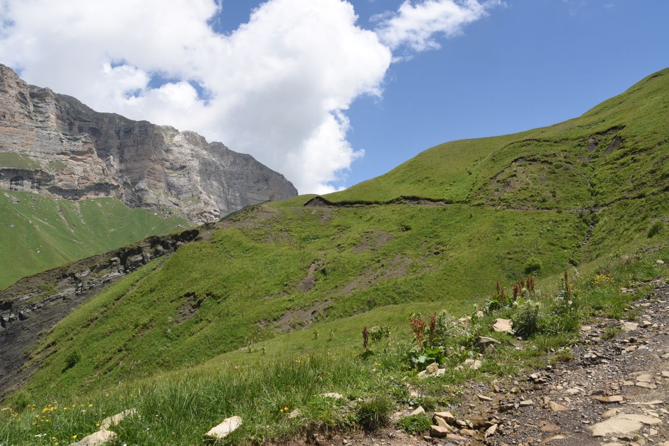 Цумандинский перевал, image of landscape/habitat.