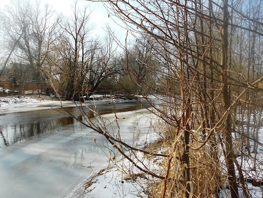 Павловский Посад и окрестности, image of landscape/habitat.