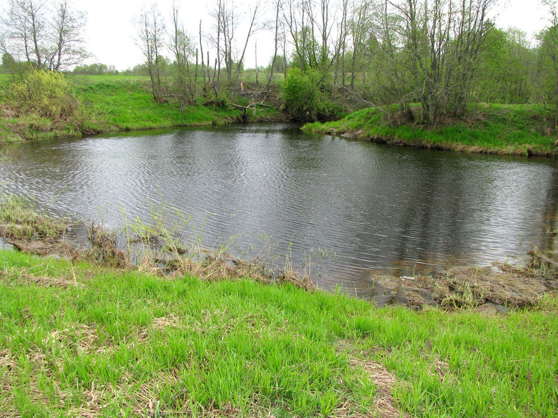 Ильд в среднем течении, image of landscape/habitat.