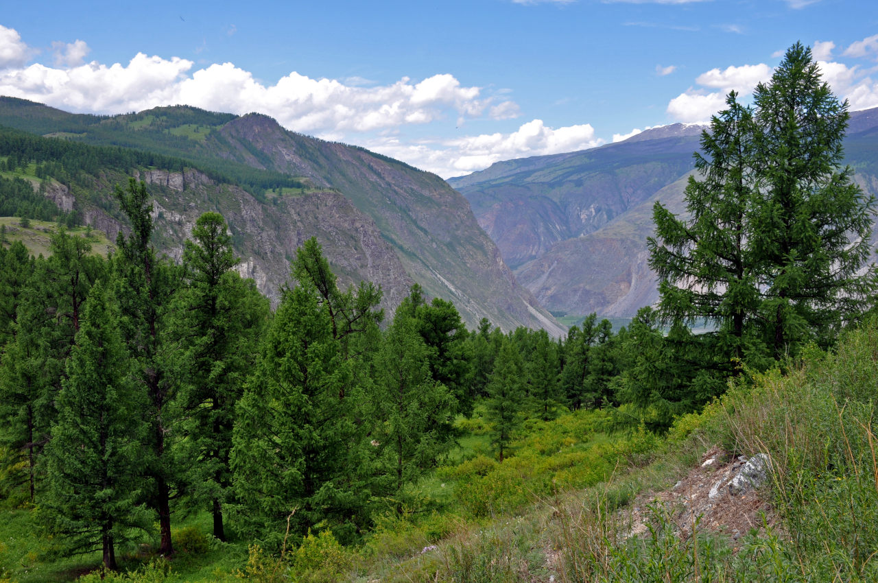 Перевал Кату-Ярык, image of landscape/habitat.