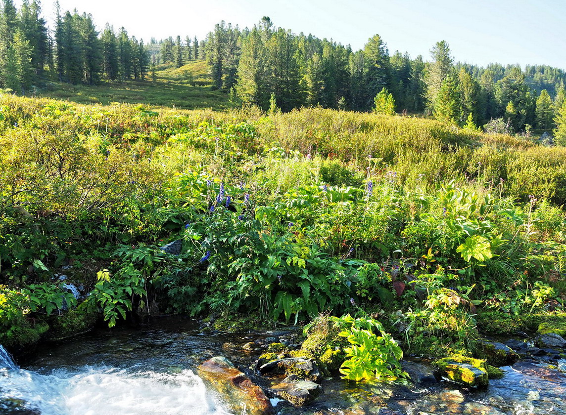 Чёрное озеро, image of landscape/habitat.