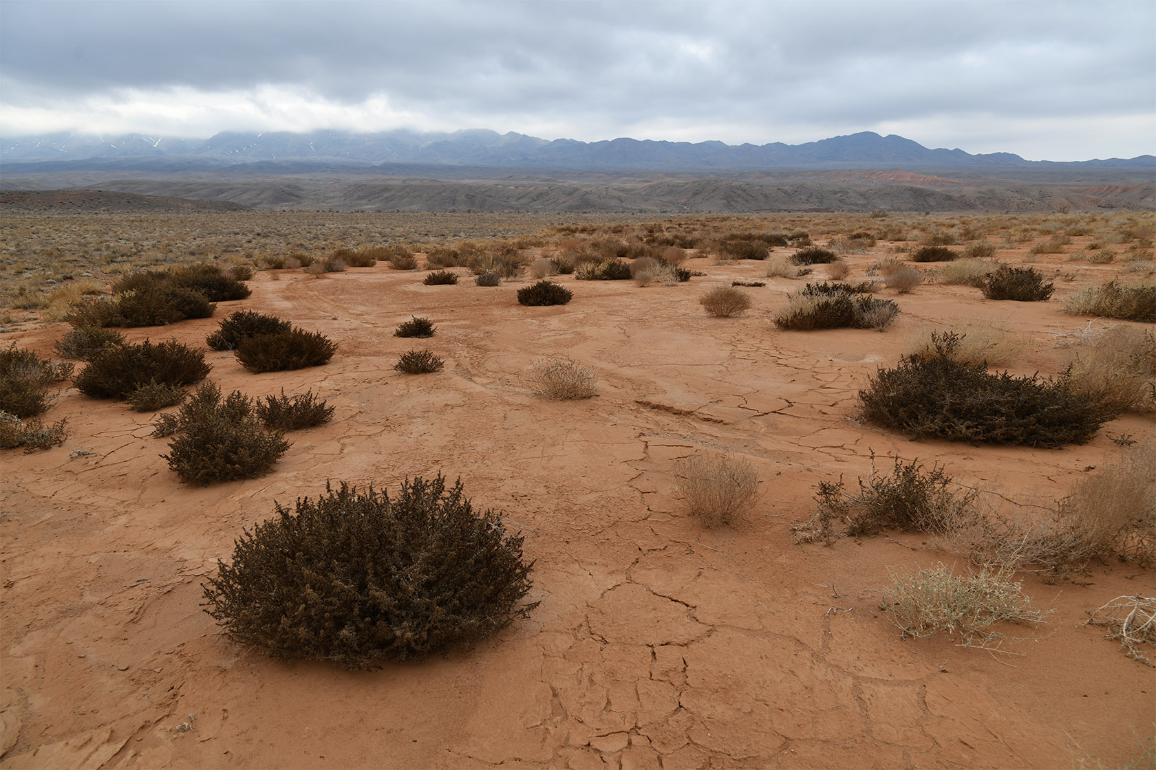 Горы Улькен-Богуты, image of landscape/habitat.