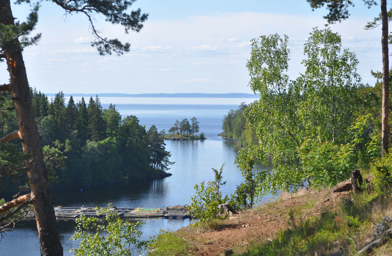 Валаам, image of landscape/habitat.