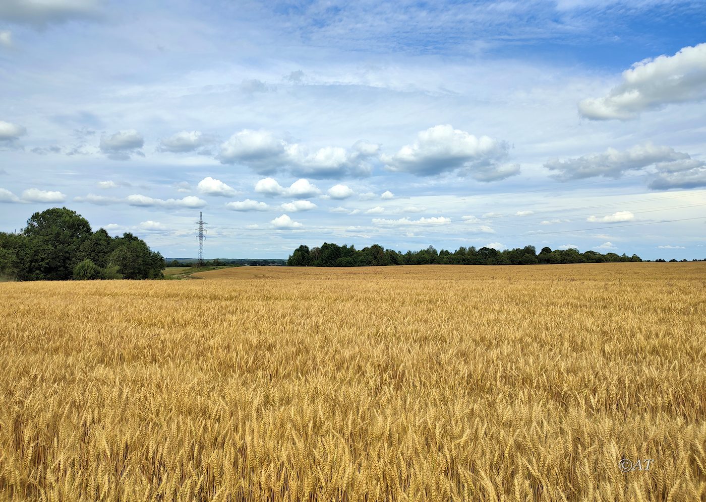 Смоленск, image of landscape/habitat.