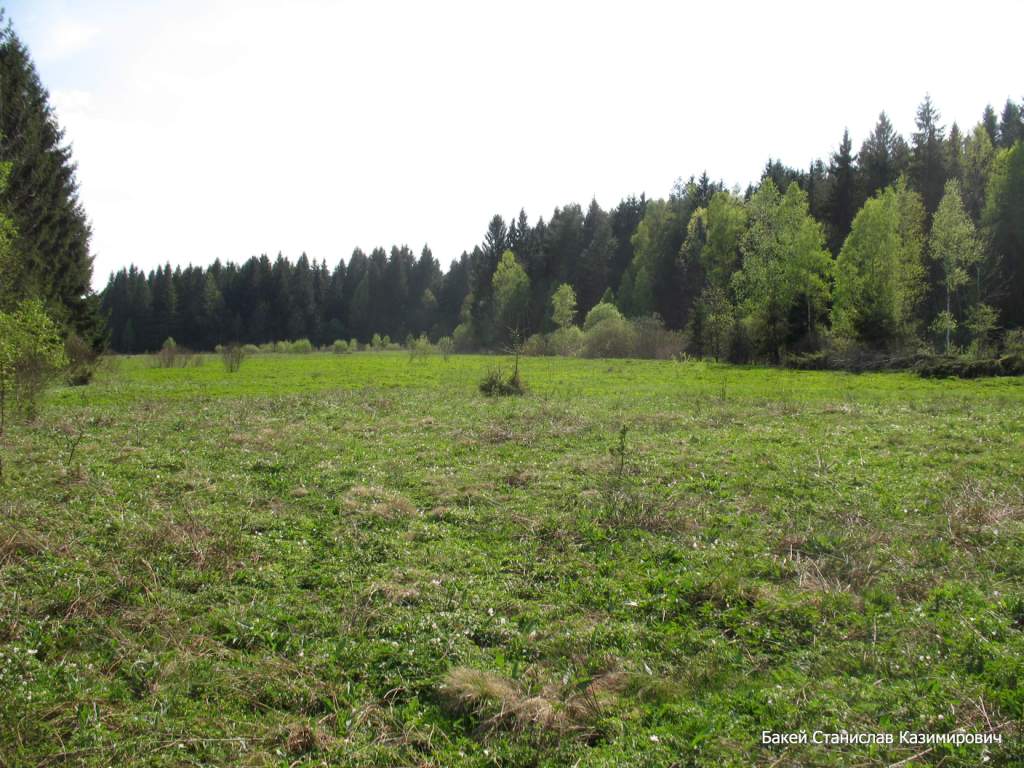 Река Литовка, image of landscape/habitat.