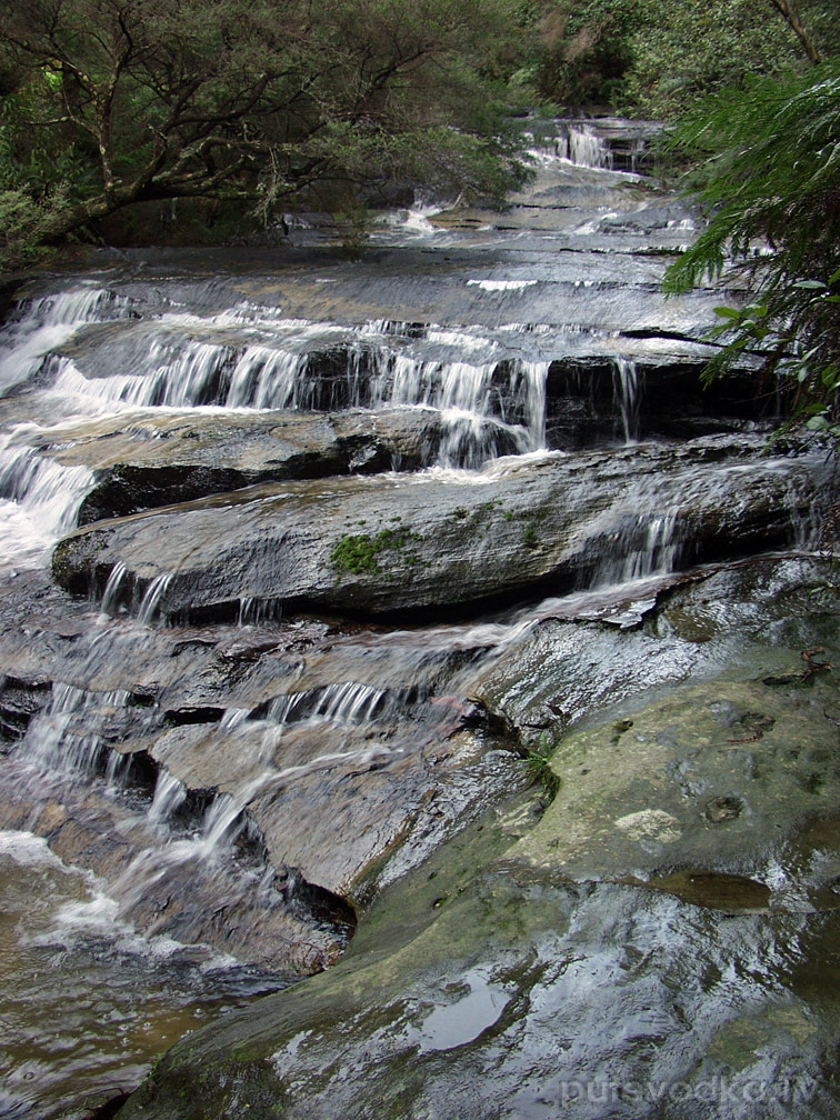 Голубые горы, image of landscape/habitat.