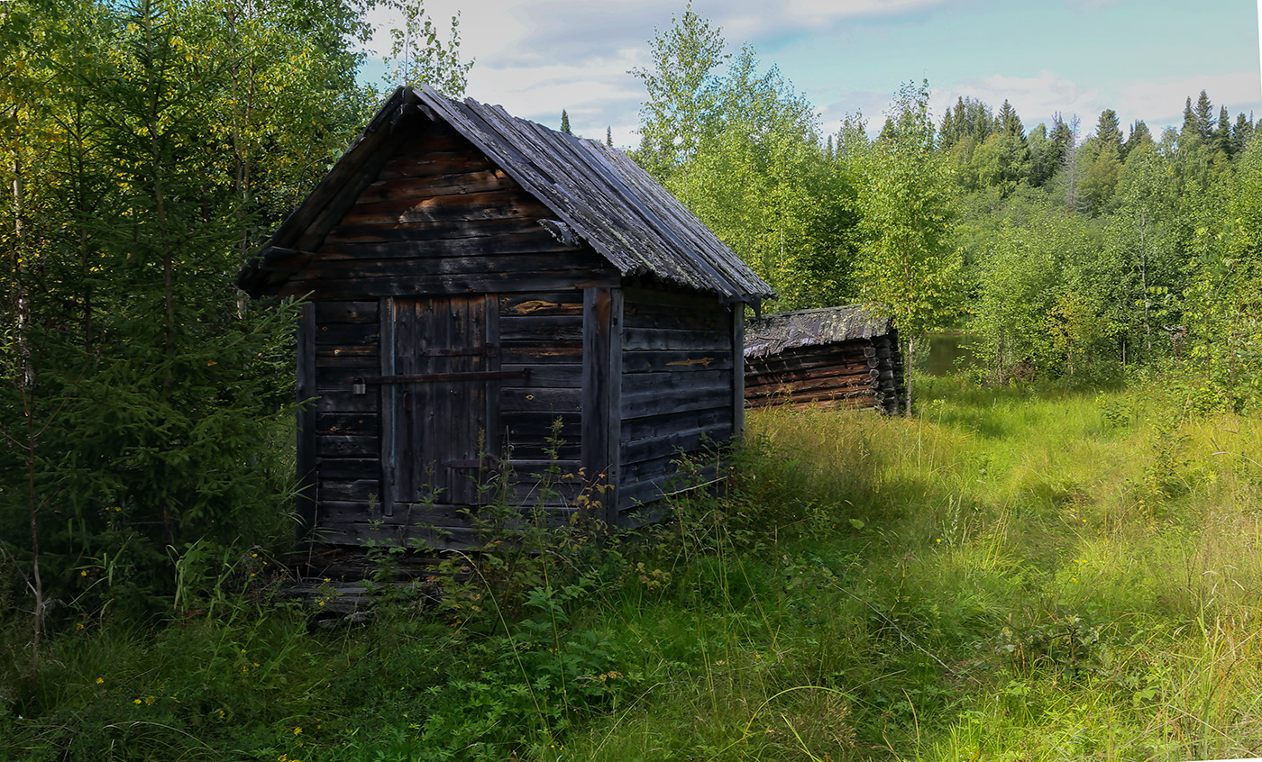 Окрестности посёлка Тупрунка, image of landscape/habitat.