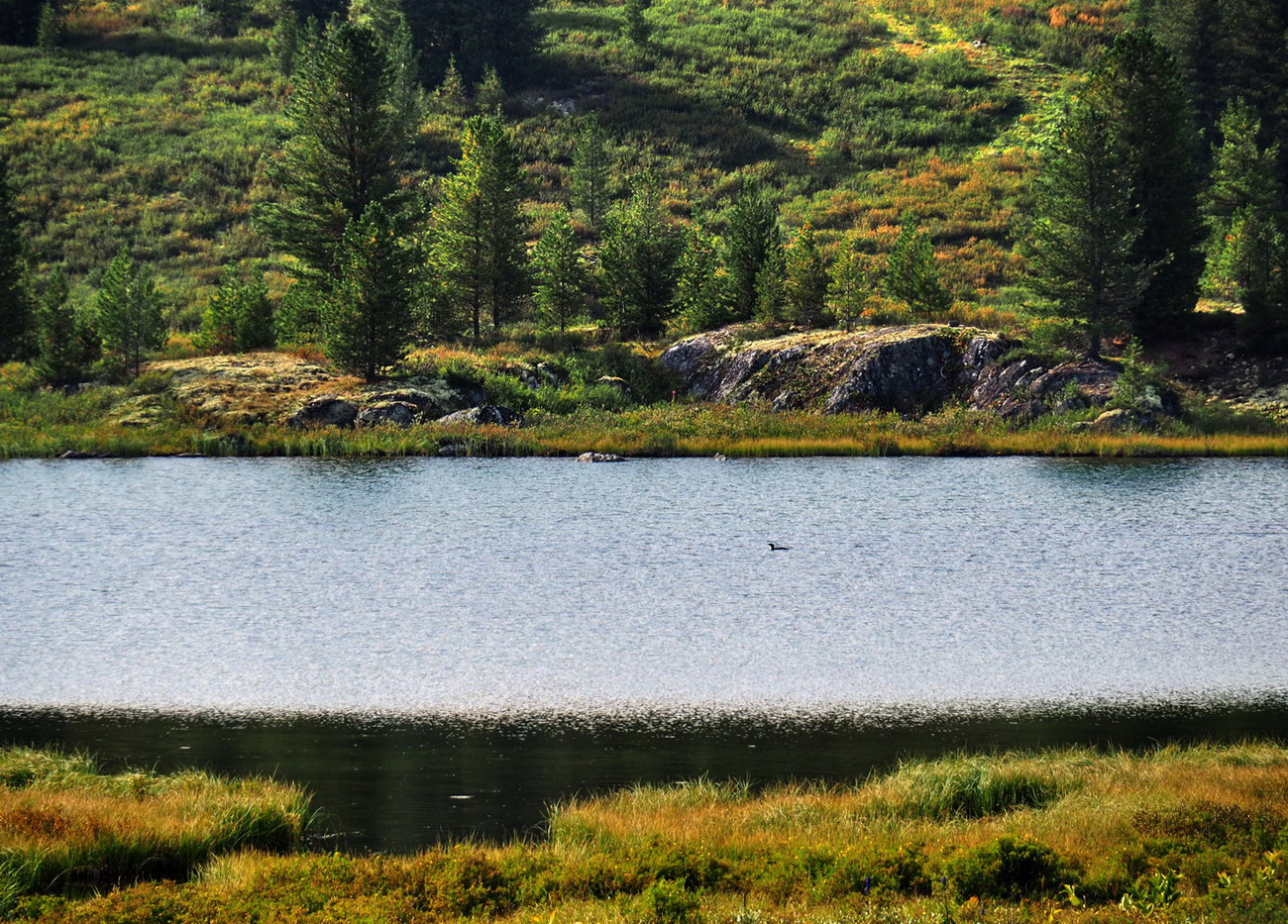 Чёрное озеро, изображение ландшафта.
