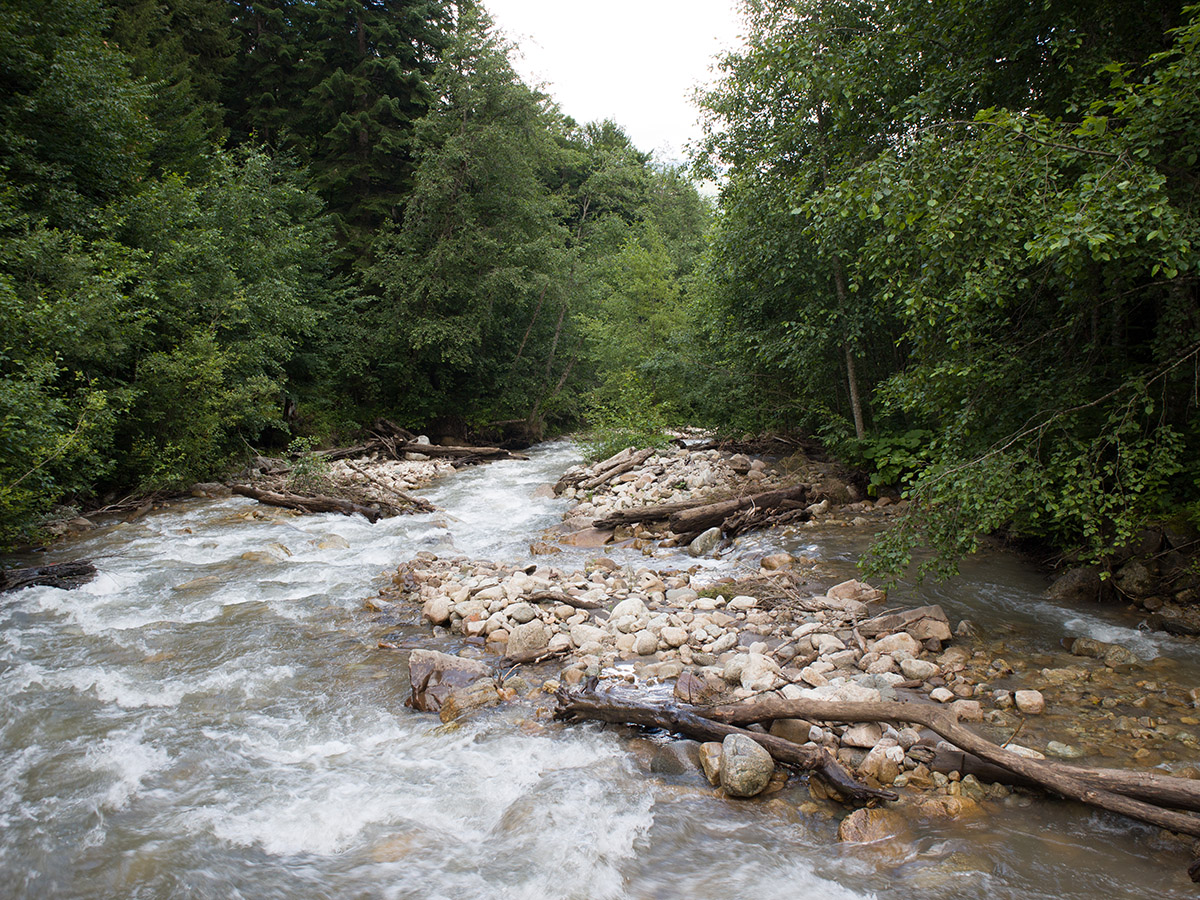 Река Закан у кордона, image of landscape/habitat.