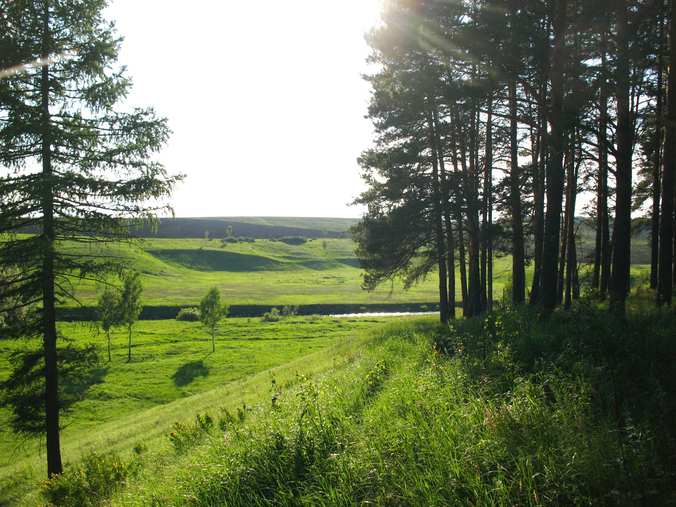 Полосня, image of landscape/habitat.