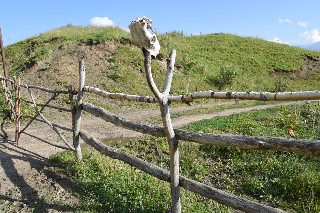 Окрестности урочища Цамадой, image of landscape/habitat.