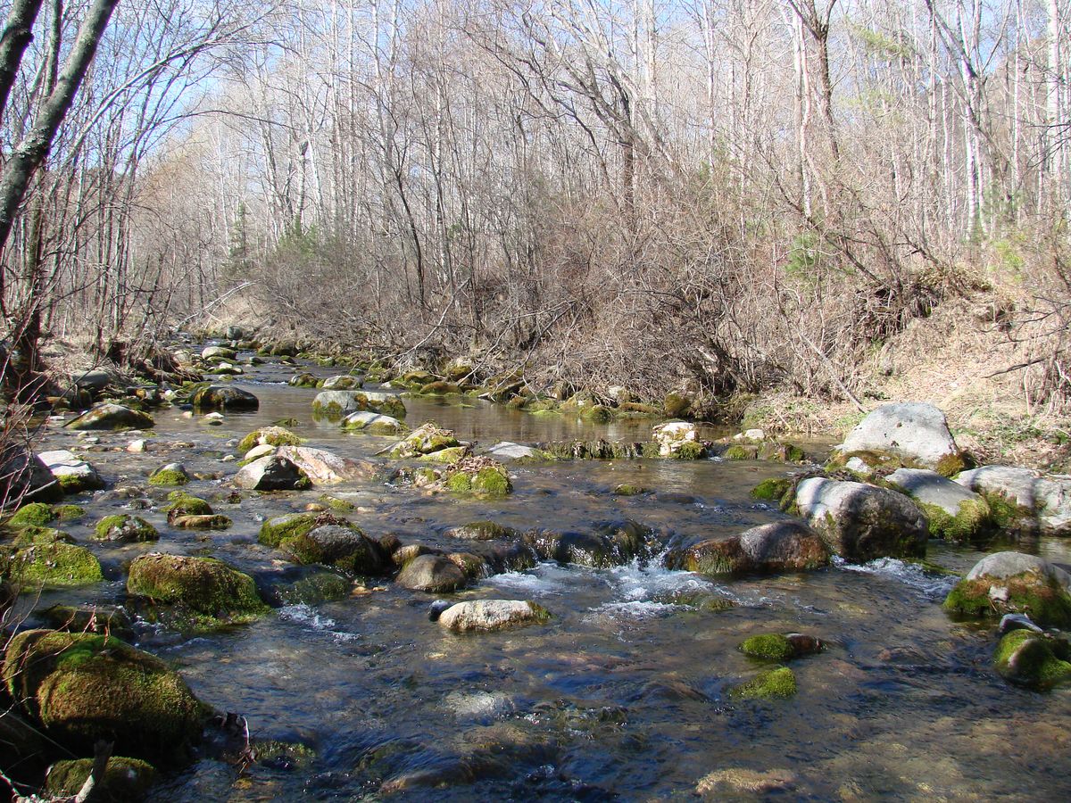 Слюдянка, image of landscape/habitat.