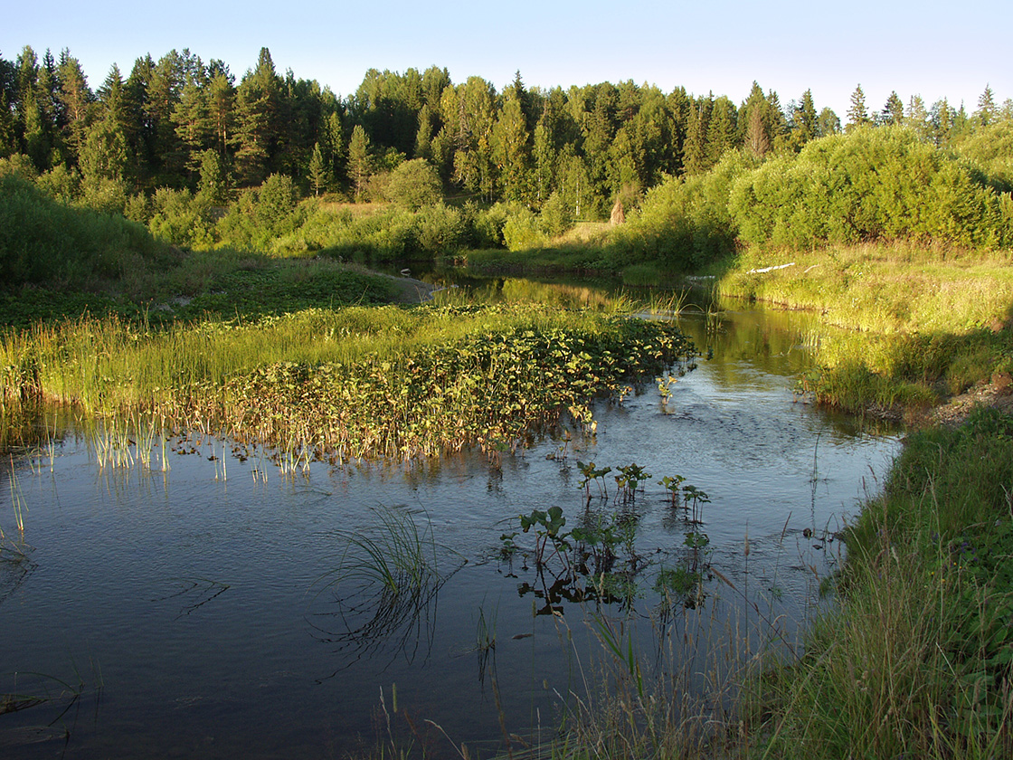 Акичкин Починок, image of landscape/habitat.