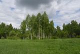 Окрестности деревни Мальцево, image of landscape/habitat.