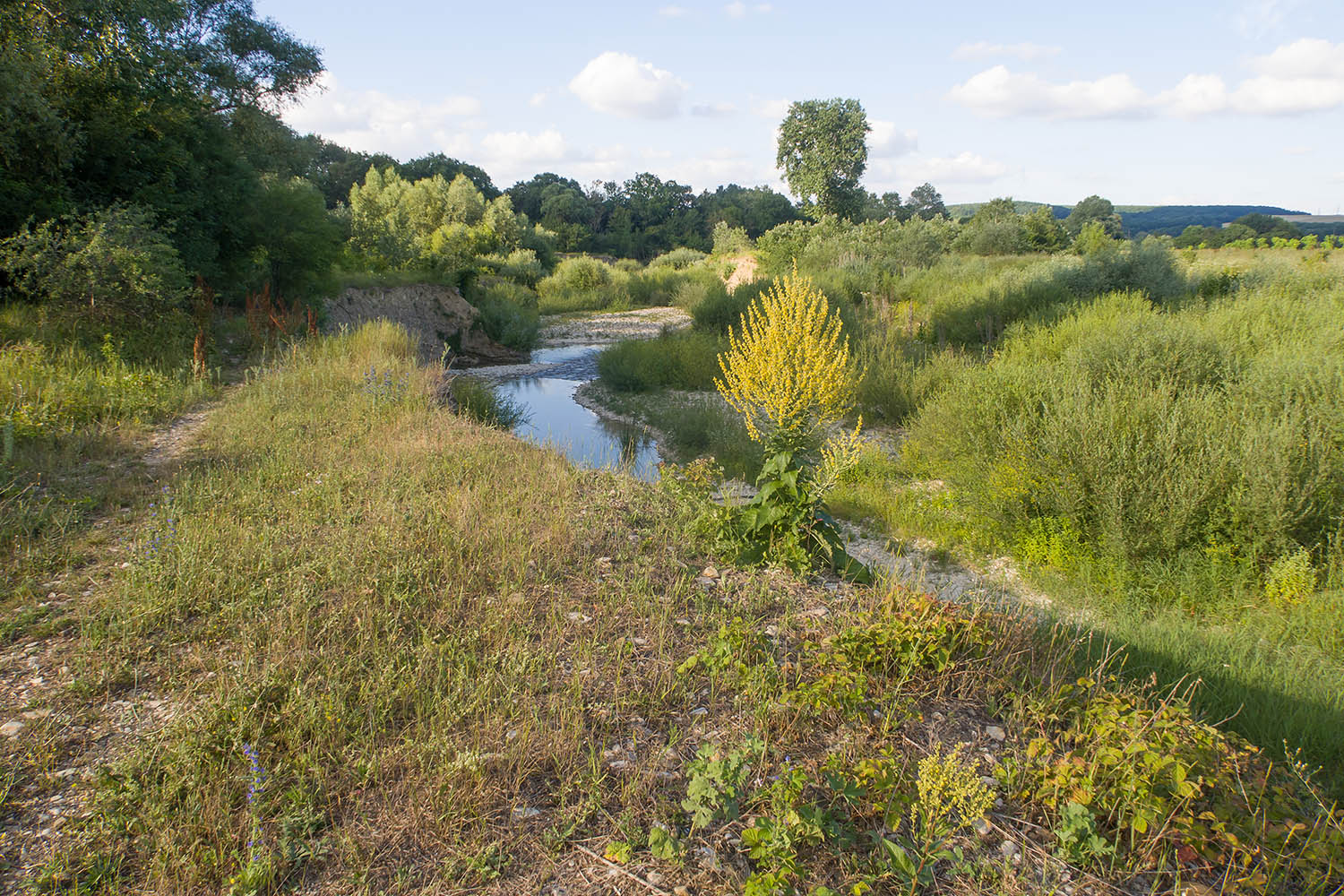 Река Неберджай, image of landscape/habitat.