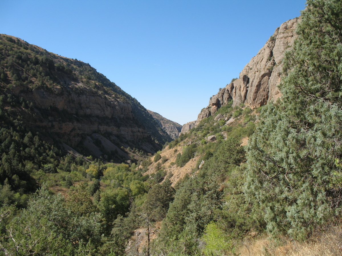 Каньон Аксу, image of landscape/habitat.